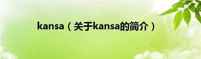 kansa（关于kansa的简介）