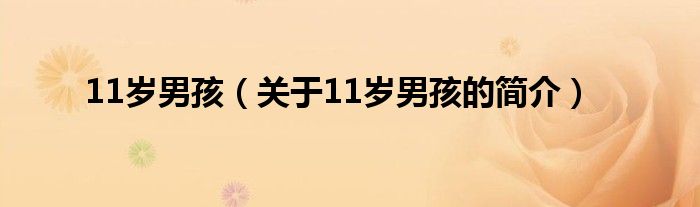 11岁男孩（关于11岁男孩的简介）