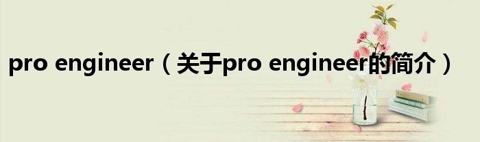 pro engineer（关于pro engineer的简介）