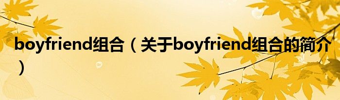 boyfriend组合（关于boyfriend组合的简介）