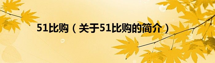 51比购（关于51比购的简介）