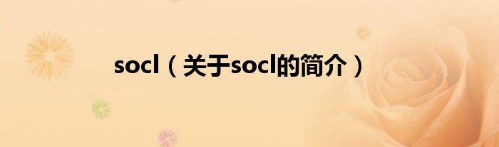 socl（关于socl的简介）