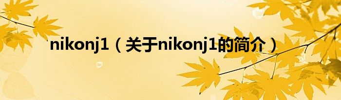 nikonj1（关于nikonj1的简介）