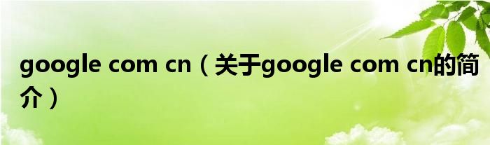 google com cn（关于google com cn的简介）