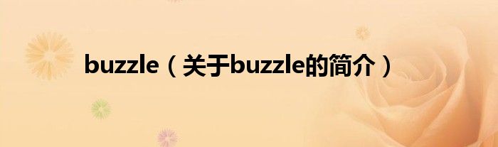 buzzle（关于buzzle的简介）