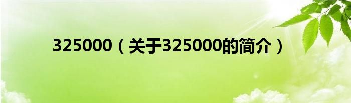 325000（关于325000的简介）