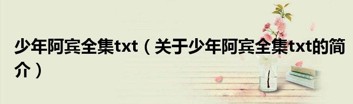 少年阿宾全集txt（关于少年阿宾全集txt的简介）