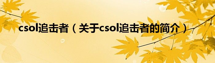 csol追击者（关于csol追击者的简介）