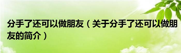 分手了还可以做朋友（关于分手了还可以做朋友的简介）