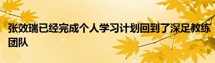 张效瑞已经完成个人学习计划回到了深足教练团队