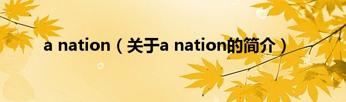 a nation（关于a nation的简介）