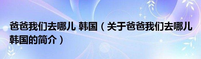 爸爸我们去哪儿 韩国（关于爸爸我们去哪儿 韩国的简介）