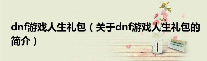 dnf游戏人生礼包（关于dnf游戏人生礼包的简介）