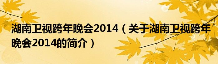 湖南卫视跨年晚会2014（关于湖南卫视跨年晚会2014的简介）