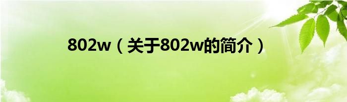 802w（关于802w的简介）