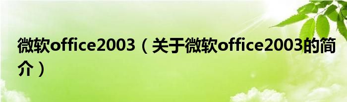 微软office2003（关于微软office2003的简介）