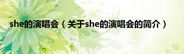 she的演唱会（关于she的演唱会的简介）