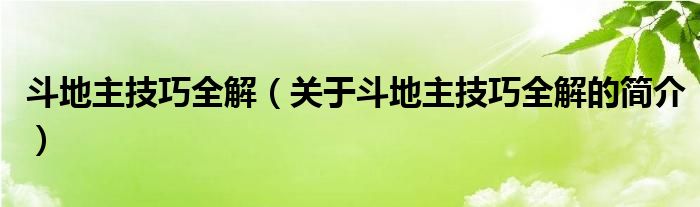 斗地主技巧全解（关于斗地主技巧全解的简介）