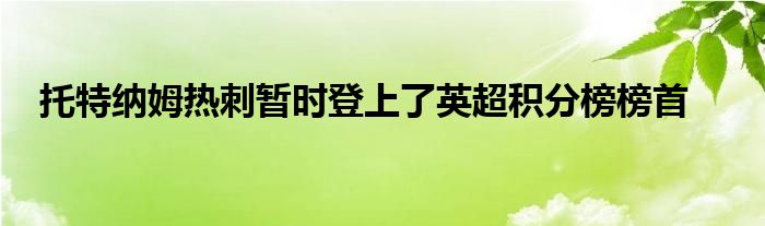 托特纳姆热刺暂时登上了英超积分榜榜首