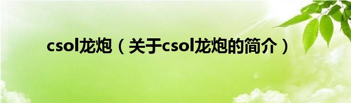 csol龙炮（关于csol龙炮的简介）