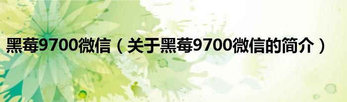 黑莓9700微信（关于黑莓9700微信的简介）