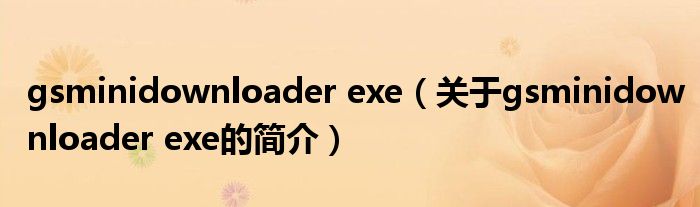 gsminidownloader exe（关于gsminidownloader exe的简介）