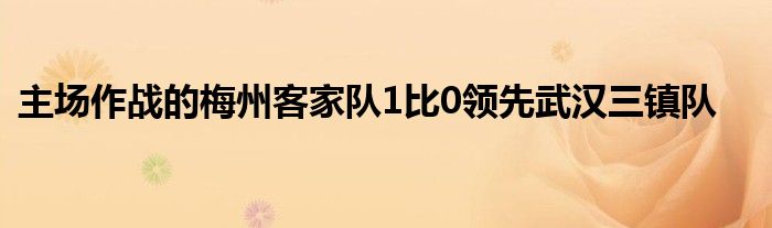 主场作战的梅州客家队1比0领先武汉三镇队