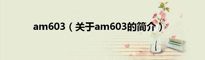 am603（关于am603的简介）