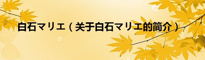 白石マリエ（关于白石マリエ的简介）