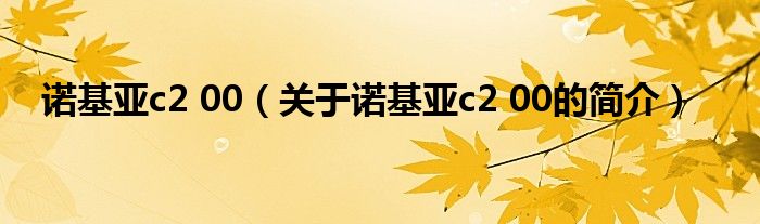 诺基亚c2 00（关于诺基亚c2 00的简介）