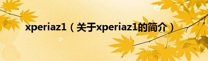 xperiaz1（关于xperiaz1的简介）