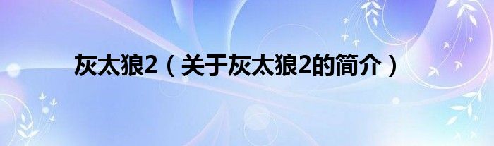 灰太狼2（关于灰太狼2的简介）