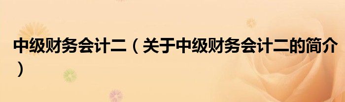 中级财务会计二（关于中级财务会计二的简介）