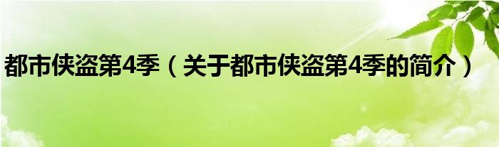 都市侠盗第4季（关于都市侠盗第4季的简介）