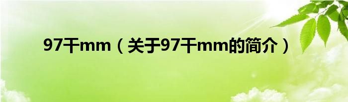 97干mm（关于97干mm的简介）