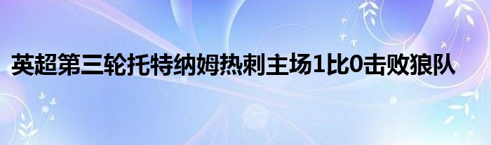 英超第三轮托特纳姆热刺主场1比0击败狼队