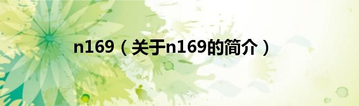 n169（关于n169的简介）