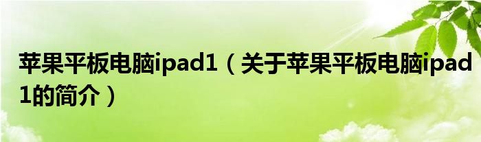 苹果平板电脑ipad1（关于苹果平板电脑ipad1的简介）