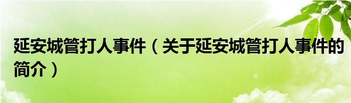 延安城管打人事件（关于延安城管打人事件的简介）