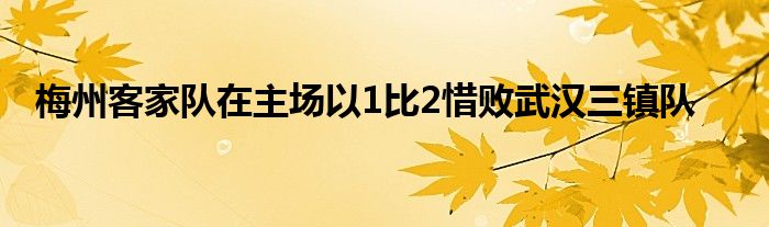 梅州客家队在主场以1比2惜败武汉三镇队