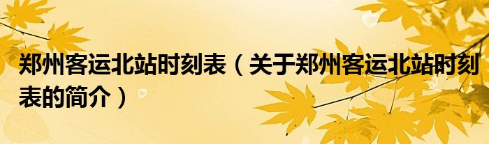 郑州客运北站时刻表（关于郑州客运北站时刻表的简介）