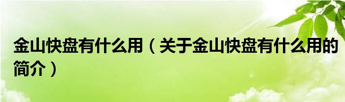 金山快盘有什么用（关于金山快盘有什么用的简介）