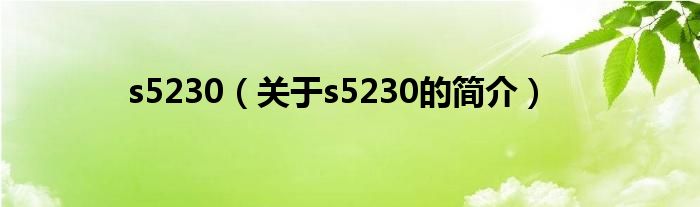 s5230（关于s5230的简介）