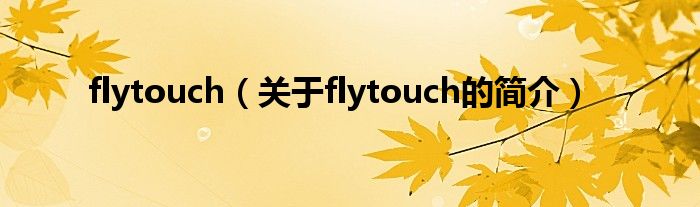 flytouch（关于flytouch的简介）