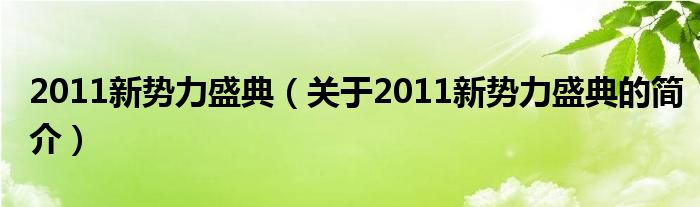 2011新势力盛典（关于2011新势力盛典的简介）