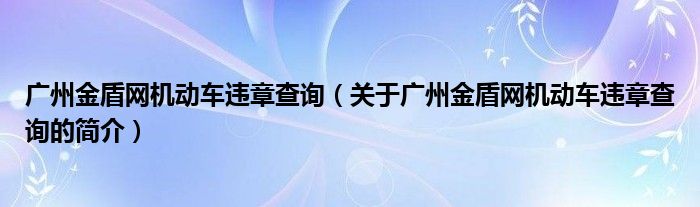 广州金盾网机动车违章查询（关于广州金盾网机动车违章查询的简介）