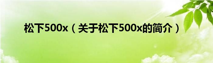 松下500x（关于松下500x的简介）