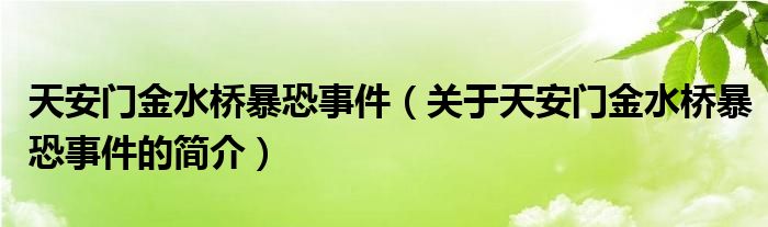 天安门金水桥暴恐事件（关于天安门金水桥暴恐事件的简介）