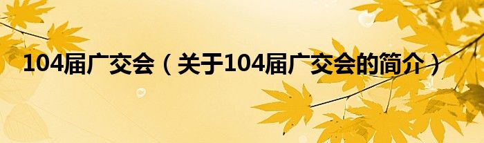 104届广交会（关于104届广交会的简介）