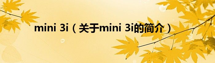 mini 3i（关于mini 3i的简介）